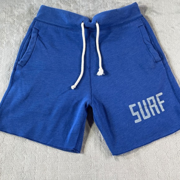 Hollister Sweat Shorts Mens Small Blue Drawstring Surf Preppy Casual Light - Picture 1 of 9